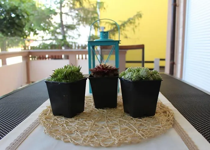 Dom wakacyjny Leona Vir